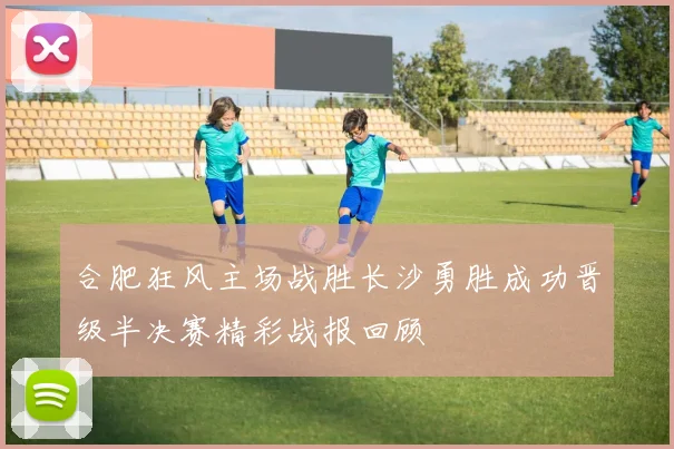 合肥狂风主场战胜长沙勇胜成功晋级半决赛精彩战报回顾
