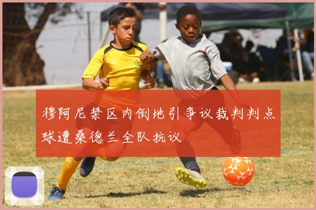 穆阿尼禁区内倒地引争议裁判判点球遭桑德兰全队抗议